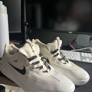 Nike SB Nyjah Houston Skate Shoes White and Black Athletic Sneakers